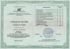 Образец документа по программе: электромонтажник по электрическим машинам (2-5 разряд)